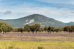 Montes de Toledo - Retuerta del Bullaque2